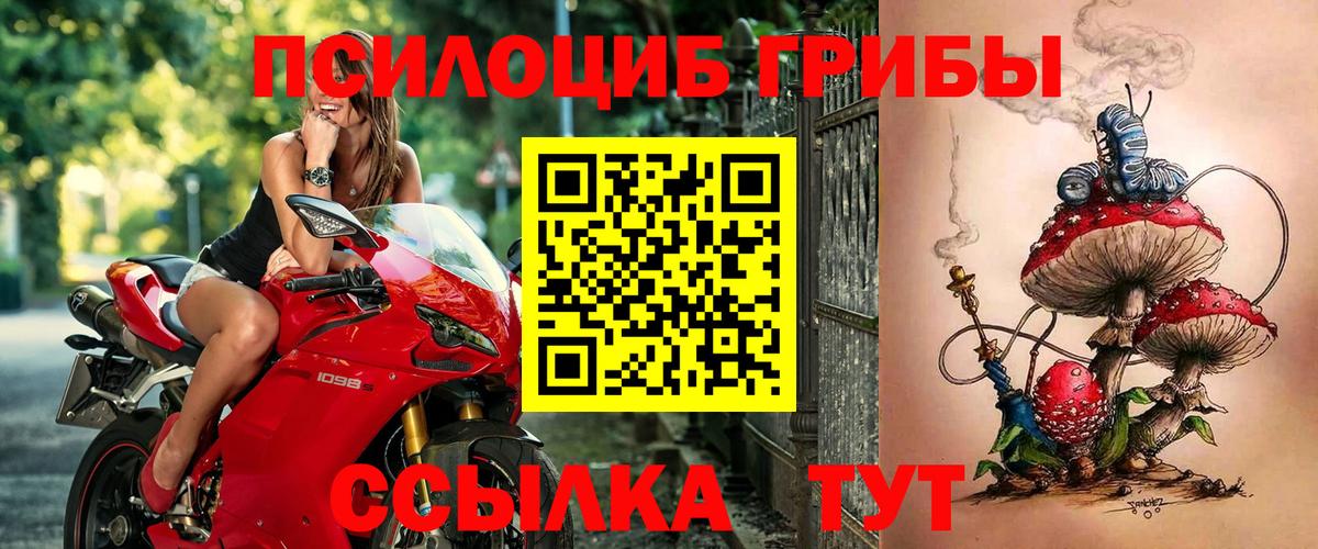 Галлюциногенные грибы прущие грибы Красноярск
