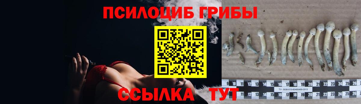 Псилоцибиновые грибы MAGIC MUSHROOMS  Вход с VPN  Красноярск 